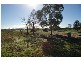 78 Cowra Road, Cowra NSW 2794