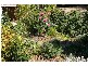 18 Henderson Street, Cowra NSW 2794