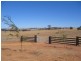 Elouera Road, Cowra NSW 2794