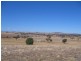 Elouera Road, Cowra NSW 2794