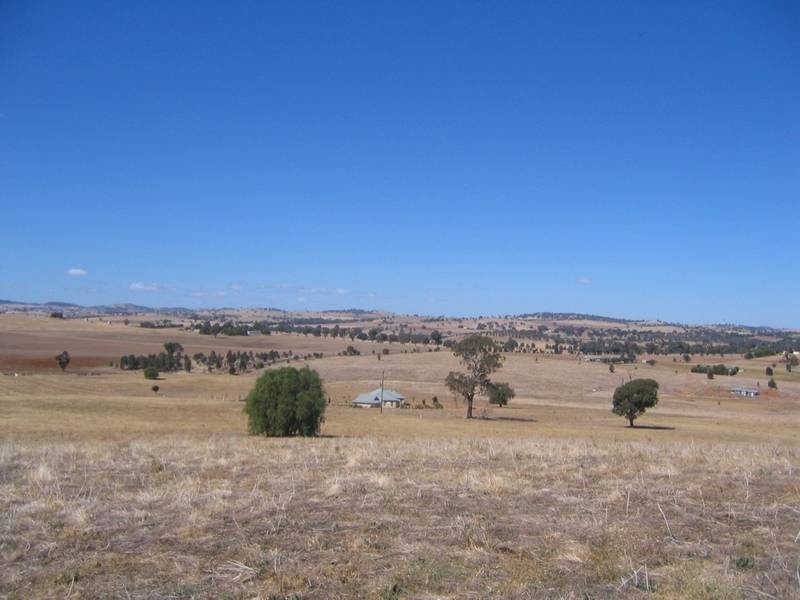 Elouera Road, Cowra NSW 2794