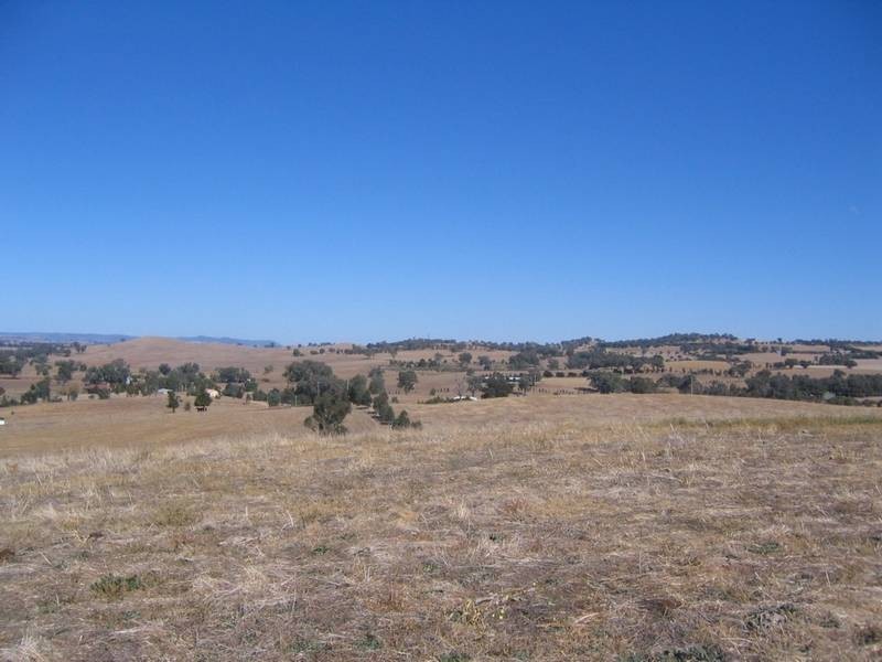 Elouera Road, Cowra NSW 2794