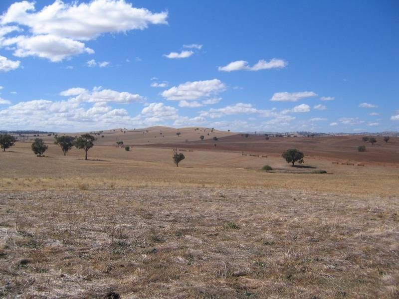 Elouera Road, Cowra NSW 2794