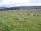 Lots 8 & 9 Dorset Lane, Cowra NSW 2794