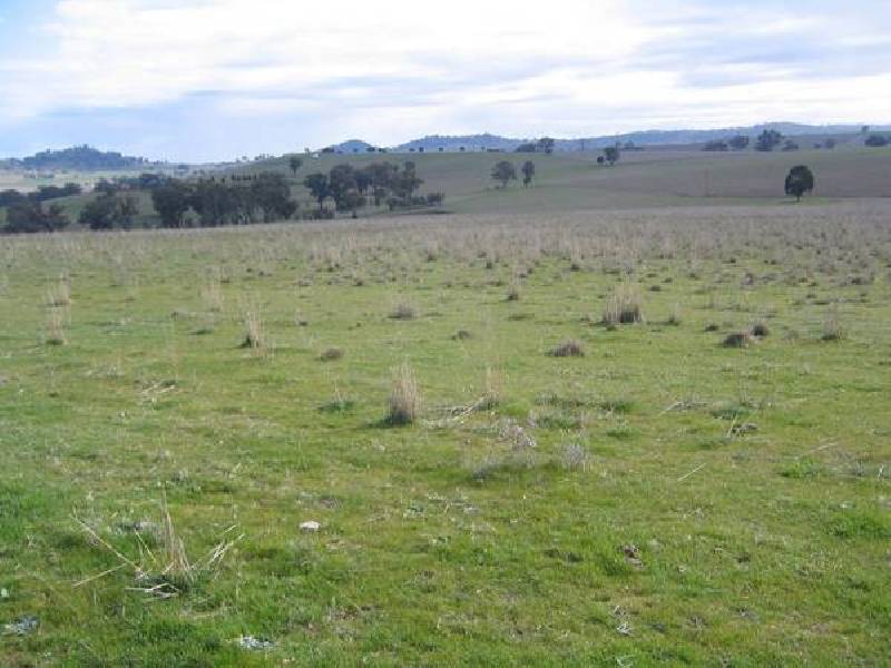 Lots 8 & 9 Dorset Lane, Cowra NSW 2794