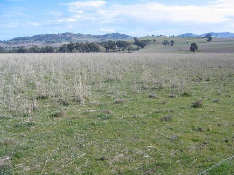 Lots 8 & 9 Dorset Lane, Cowra NSW 2794