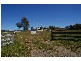 105 Bennett Springs Road, Hovells Creek NSW 2794