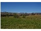 105 Bennett Springs Road, Hovells Creek NSW 2794