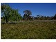 105 Bennett Springs Road, Hovells Creek NSW 2794
