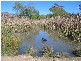105 Bennett Springs Road, Hovells Creek NSW 2794