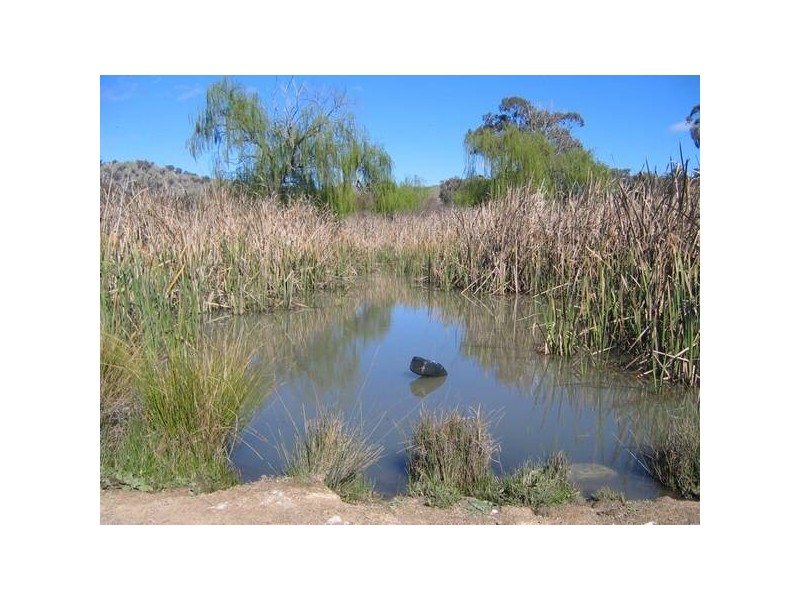 105 Bennett Springs Road, Hovells Creek NSW 2794