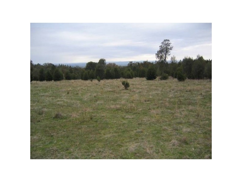 565 Pipe Clay Road, Koorawatha NSW 2807