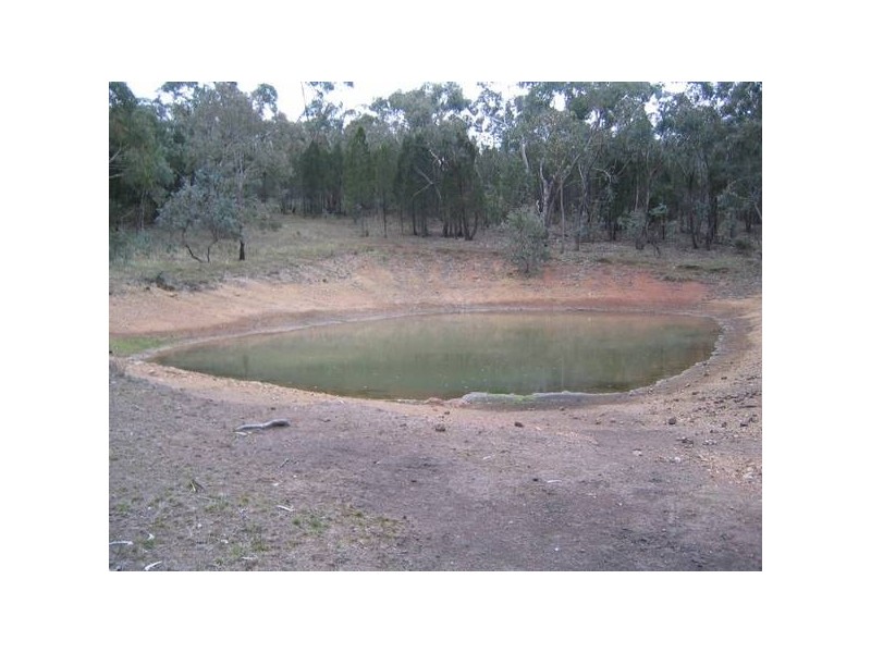 565 Pipe Clay Road, Koorawatha NSW 2807