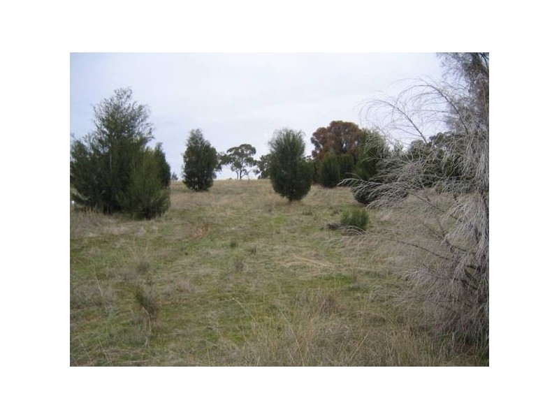 565 Pipe Clay Road, Koorawatha NSW 2807