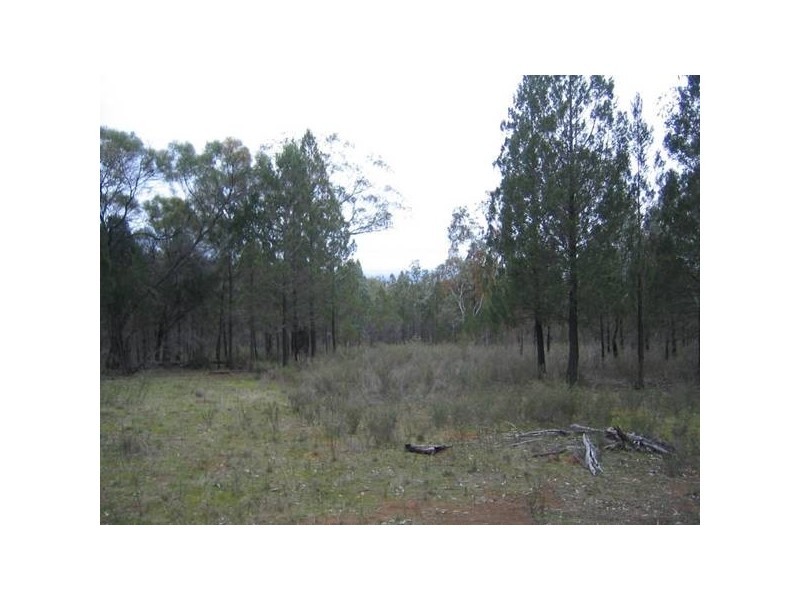 565 Pipe Clay Road, Koorawatha NSW 2807