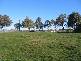 63 Grenfell Road, Cowra NSW 2794