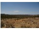 Cowra Road, Grenfell NSW 2810