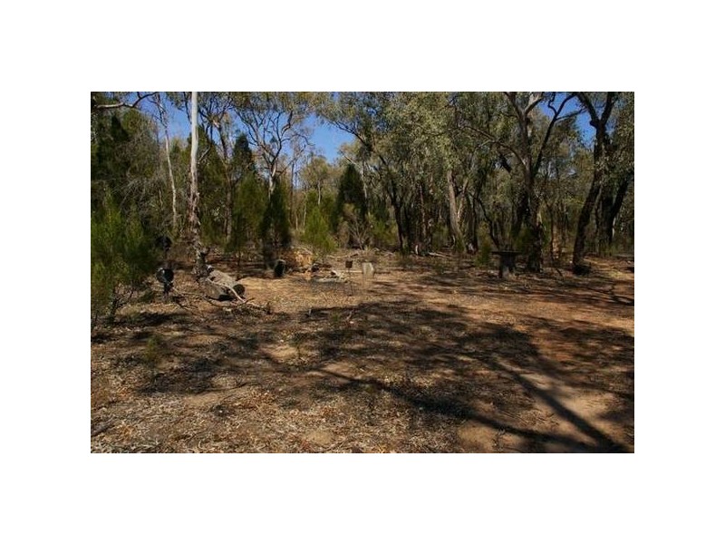 Cowra Road, Grenfell NSW 2810
