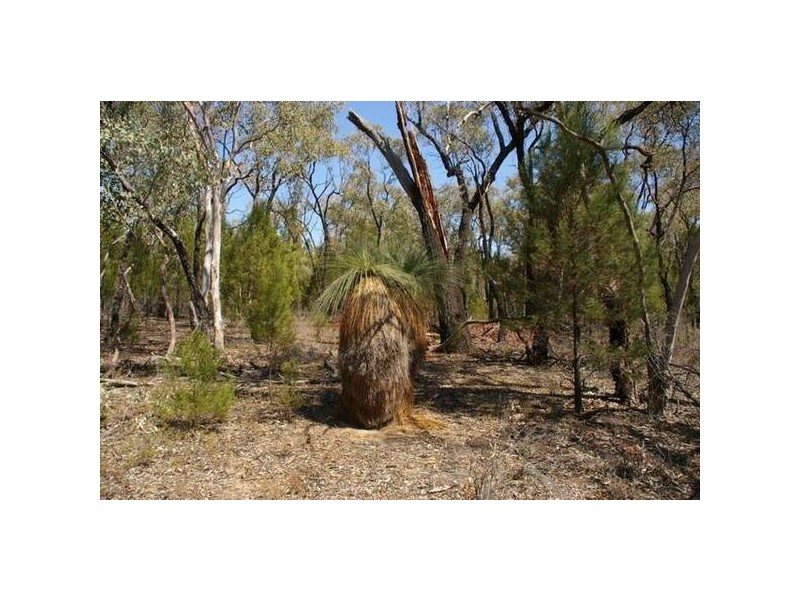 Cowra Road, Grenfell NSW 2810