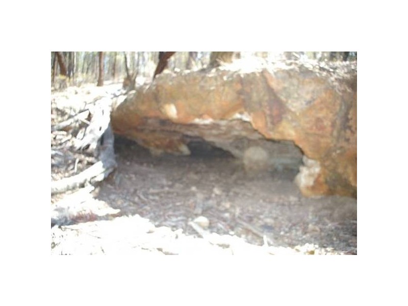 Cowra Road, Grenfell NSW 2810