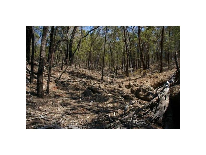 Cowra Road, Grenfell NSW 2810
