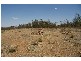 Cowra Road, Grenfell NSW 2810