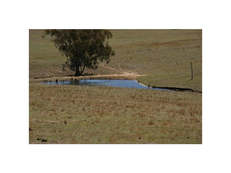 5 Clements Road, Woodstock NSW 2793