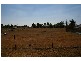 6,7,4,5 Lots 6 & 7 Cowra & Lots 4 & 5 Grenfell Roads, Cowra NSW 2794