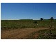 313 Elouera Road, Cowra NSW 2794