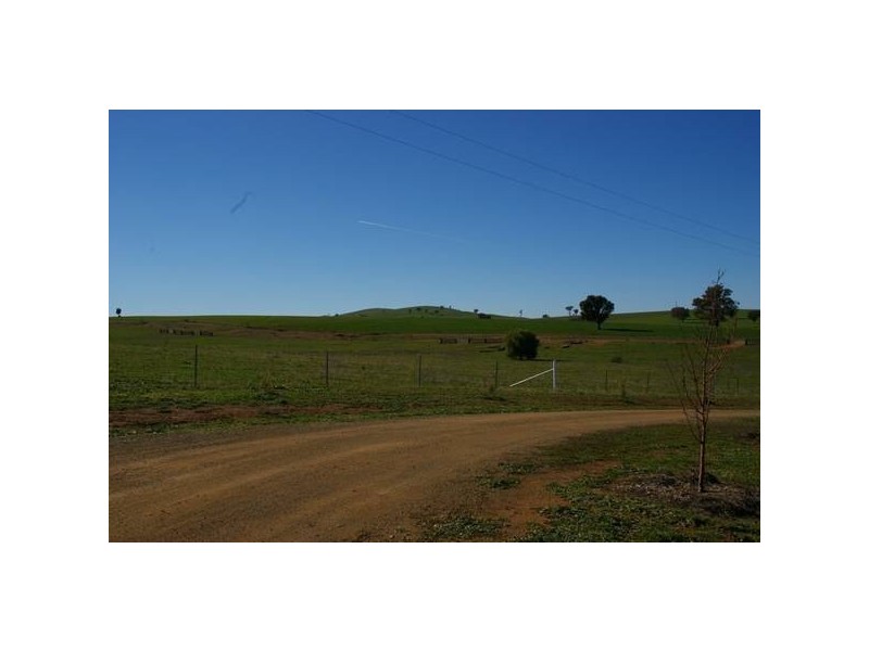 313 Elouera Road, Cowra NSW 2794