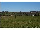 313 Elouera Road, Cowra NSW 2794