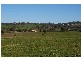313 Elouera Road, Cowra NSW 2794