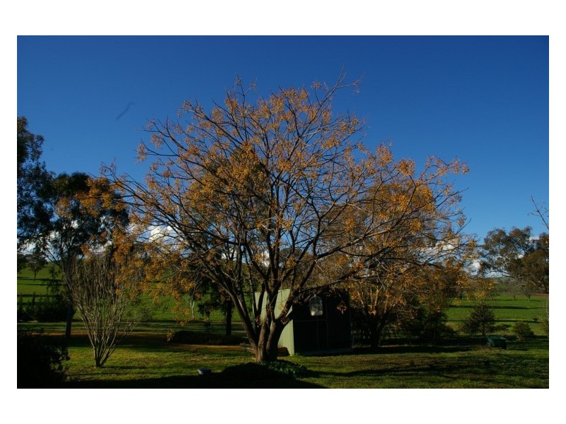 67 Military Parade, Cowra NSW 2794