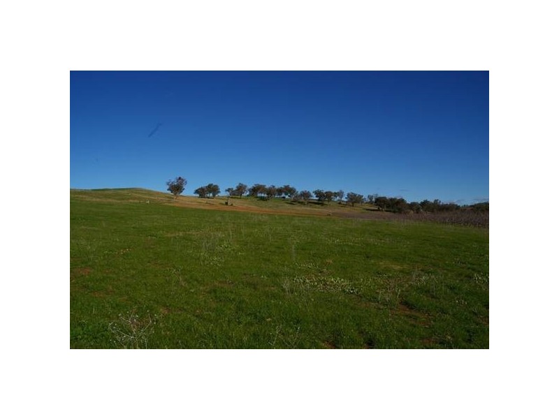 2350 George Russell Drive, Canowindra NSW 2804