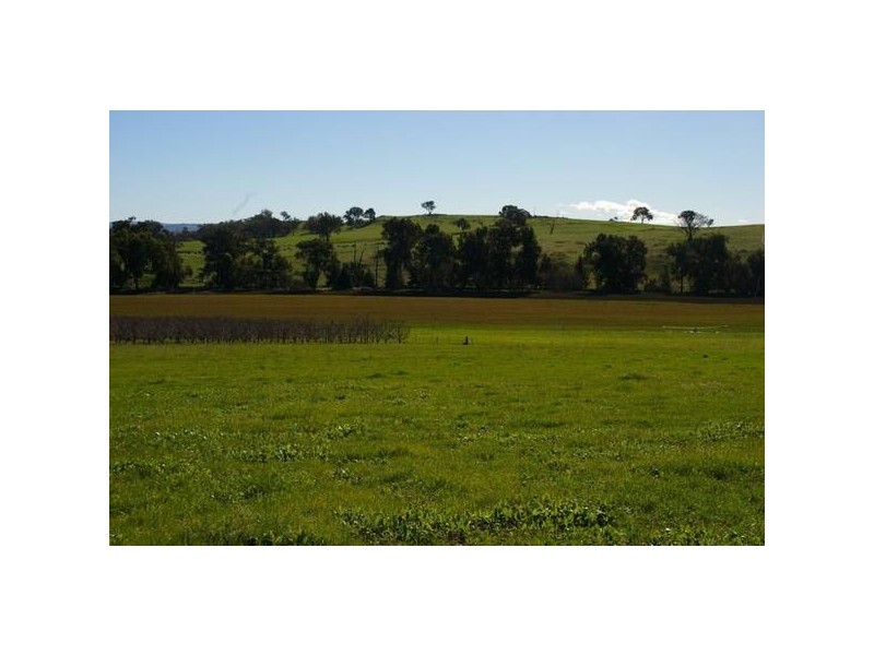 2350 George Russell Drive, Canowindra NSW 2804