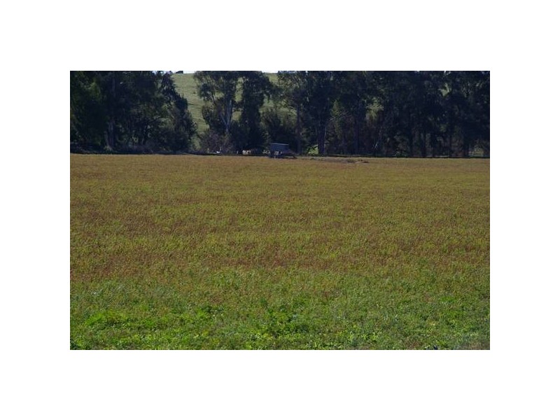 2350 George Russell Drive, Canowindra NSW 2804