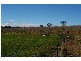 2350 George Russell Drive, Canowindra NSW 2804