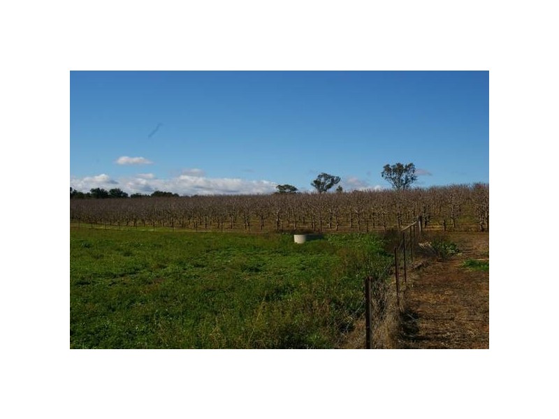2350 George Russell Drive, Canowindra NSW 2804