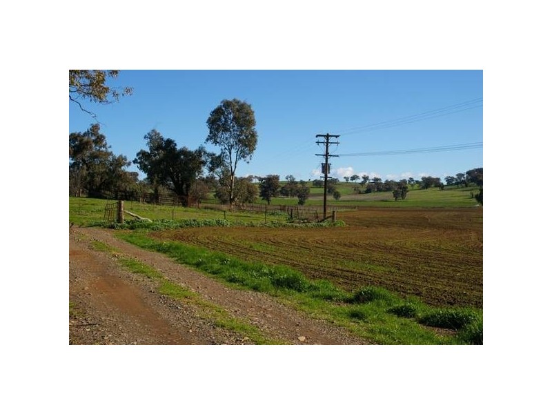 2350 George Russell Drive, Canowindra NSW 2804