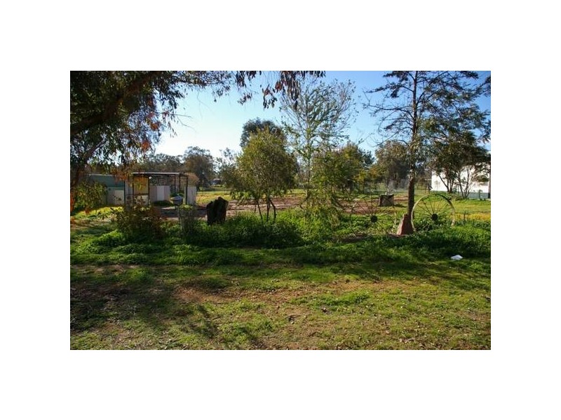 3 Waddell Street, Wattamondara NSW 2794