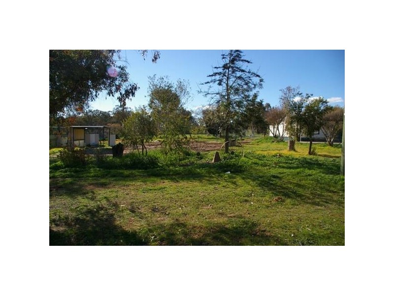 3 Waddell Street, Wattamondara NSW 2794