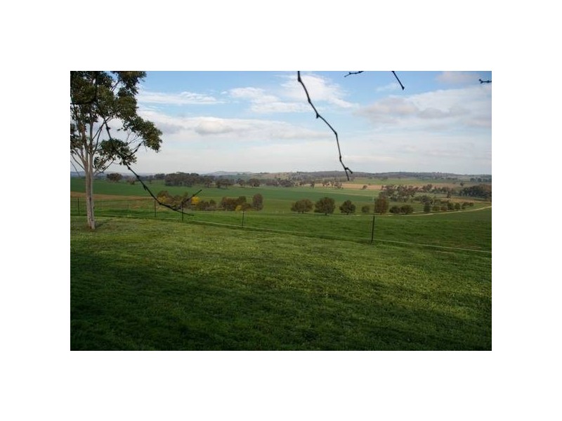 Cowra Road, Grenfell NSW 2810
