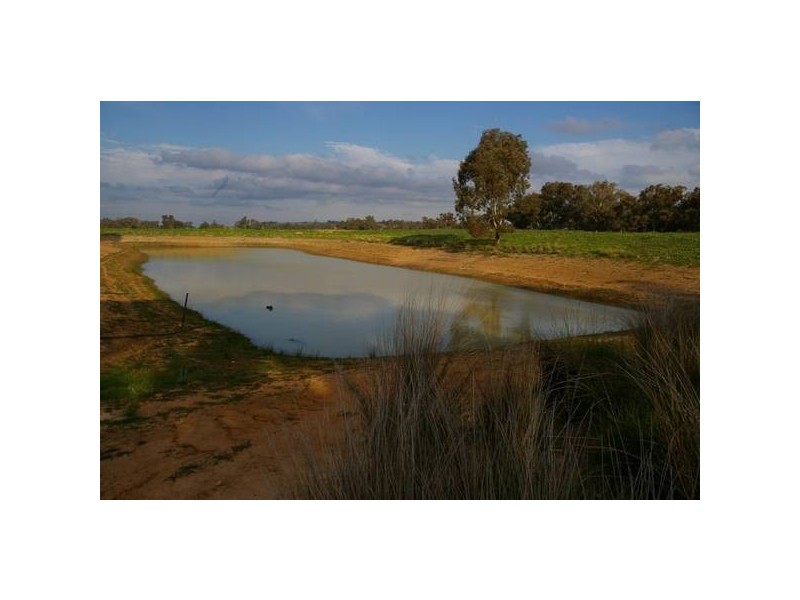Cowra Road, Grenfell NSW 2810