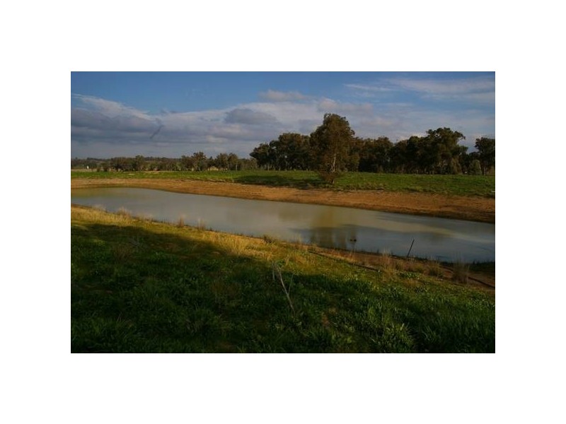 Cowra Road, Grenfell NSW 2810