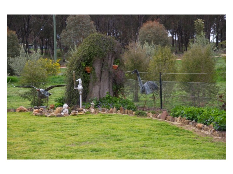 145 Camp Road, Cowra NSW 2794