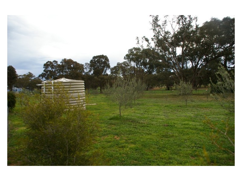 145 Camp Road, Cowra NSW 2794