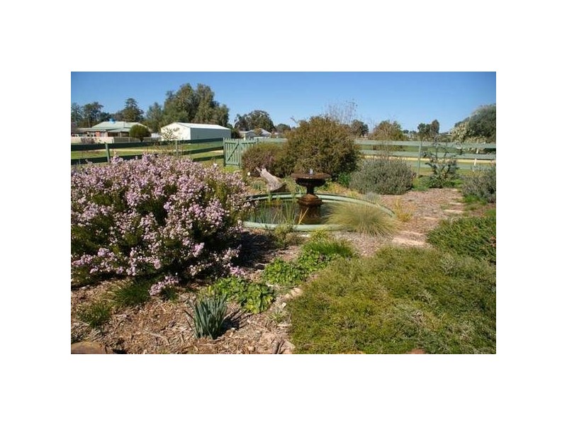 54 River Park Road, Cowra NSW 2794