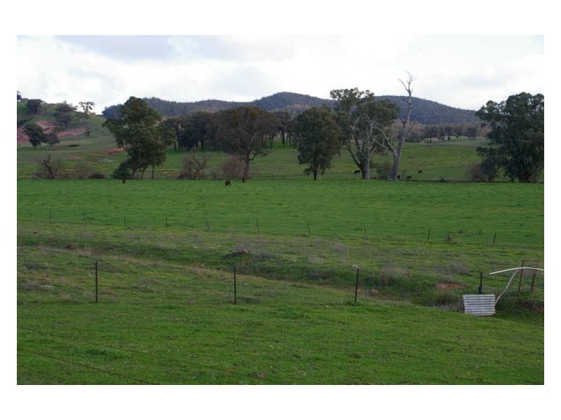 1902 Kangarooby Road, Gooloogong NSW 2805