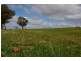 Lot 101,  Mid Western Highway, Cowra NSW 2794