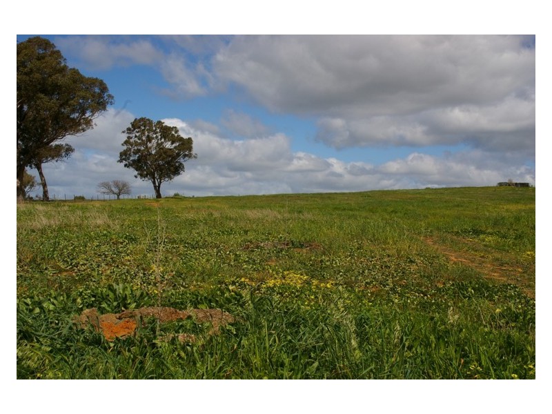 Lot 101,  Mid Western Highway, Cowra NSW 2794